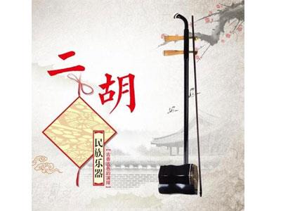 招聘梧州二胡家教老师